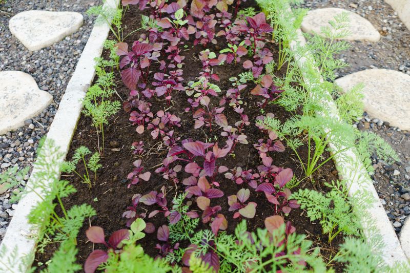 Concrete Edging