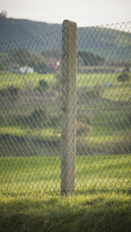 Reinforcement Features