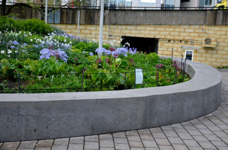 Concrete Edging Cost Guide — Cost of Concrete Edging